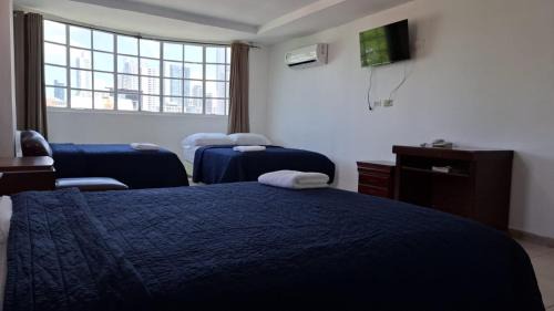 Calidonia Hotel | Discovery