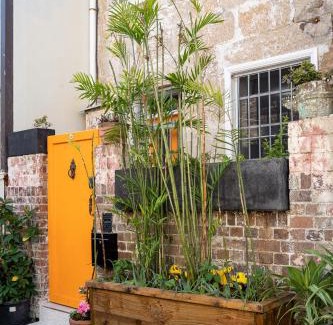 Darlinghurst House | 'Divine Darlo' Terrace