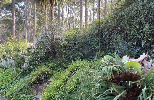 Dalmeny House | Dixie Margaret Surf Shack & MTB Trail Bikers Narooma