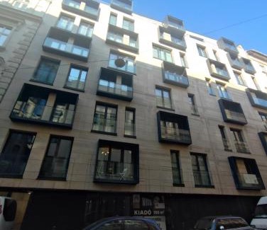 Belso-Ferencvaros Apartment | DN Rose Apartmant