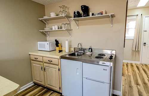 Baneberry Apartment | Dog-friendly, 1st-floor studio with golf view & gym - stroll to Douglas Lake