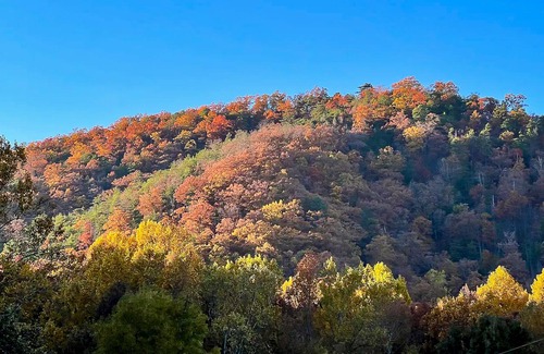 Seymour Apartment | Dog-friendly apartment with mountain view, fireplace, central AC, firepit, & W/D
