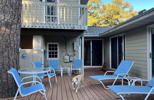The Pines House | Dog-Friendly Beach Getaway with Koi Pond, Patio & Walkable to Town!
