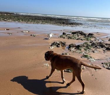 Broadstairs Apartment | Dog friendly Beach Apartment