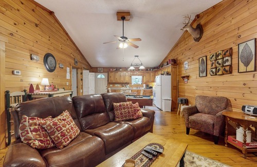 Sautee Nacoochee Cabin | Dog-Friendly Cabin w/Screened Deck, Private Hot Tub, Firepit & WiFi