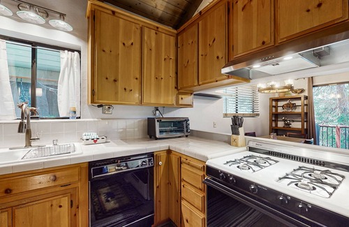 Arrowhead Villas Cabin | Dog-friendly cabin with two decks, fireplace, & gas grill - quiet location