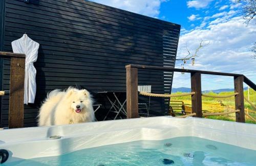 Doune House | Dog friendly cabin & hot tub and Cairngorm views