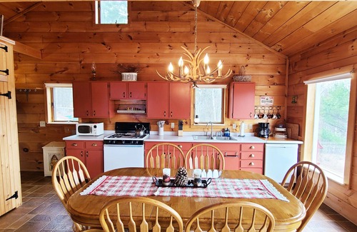 Sunday River Area Cabin | Dog Friendly Cabin w/Hot Tub & Stunning Views!