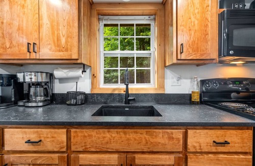 Silver Lake Cabin | Dog Friendly | Hot Tub | Sauna | 10 Min to Conway