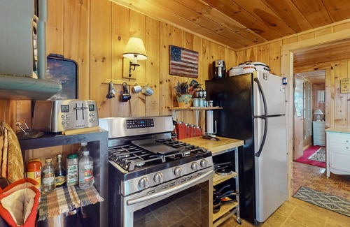Greenville Ski Chalet | Dog-friendly, lake-view chalet with gazebo, wraparound deck, grill, & fireplace