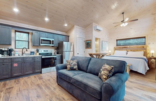 Rocky Grove Cabin | Dog-friendly studio cabin w/free attraction tickets, hot tub, full kitchen
