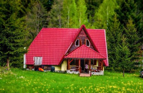Toplita Cabin | Doi Frati