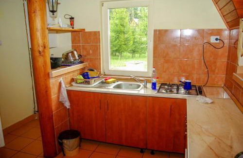 Toplita Cabin | Doi Frati