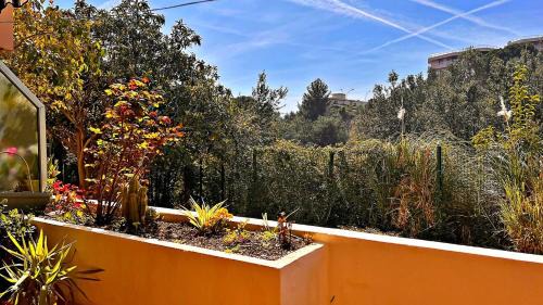 Fabron Apartment | Dolce Vacanza