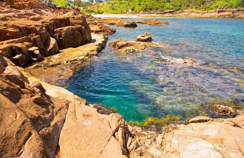 Fishermans Bay Apartment | Dolphin Studio Suite