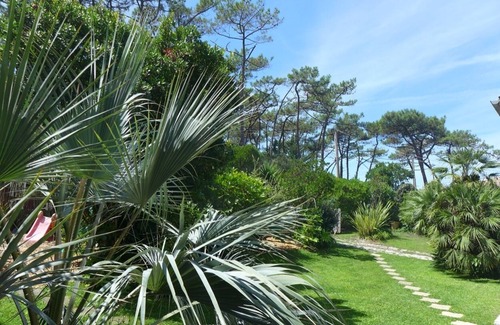 Lacanau-Ocean Villa | Dom Tom villa is less than 300m from beach in quiet district of Lacanau ocean