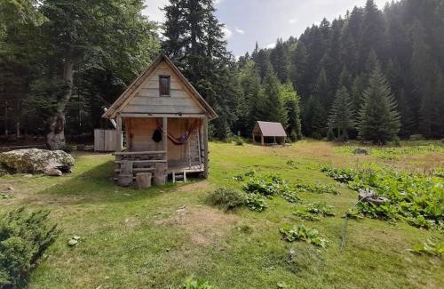 Montenegro Ski Chalet | Domaćinstvo Pešića