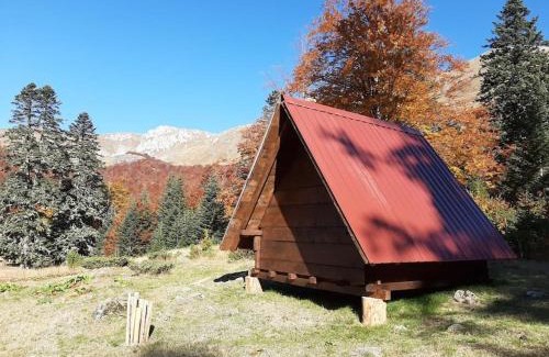 Montenegro Ski Chalet | Domaćinstvo Pešića