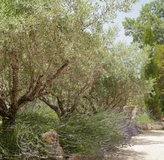 Paradou Bed & Breakfast | Domaine Cap Rubis