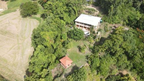 Riviere-Pilote Apartment | Domaine de kanelle