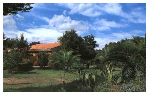 Santa-Lucia-di-Moriani Apartment | Domaine de l'Avidanella