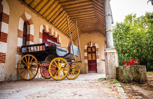 Cour-Cheverny House | Domaine de Sérigny, 19th century, 60 hectares, three gites. Ideal for families and friends.