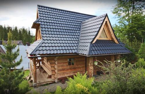 Male Ciche Ski Chalet | Domek góralski