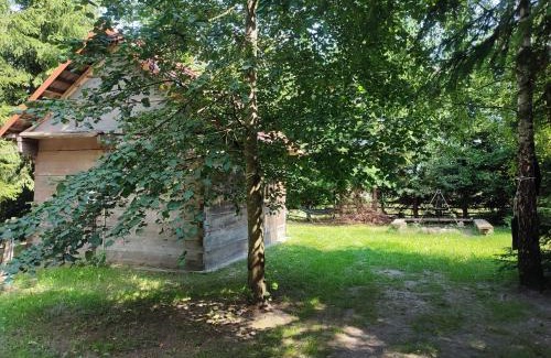 Bialowieza House | Domek Gajowy-2