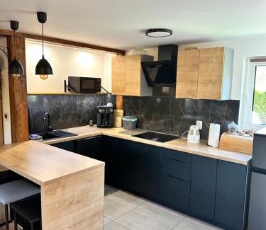 Zywiec Apartment | Domek Nad Koszarawą z ogrodowym jacuzzi
