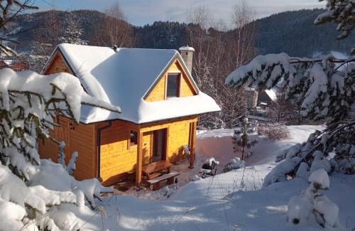 Krynica-Zdroj Ski Chalet | Domek Stokrotka