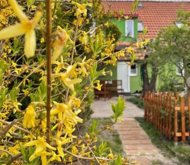 Uniescie House | Domek Zielony