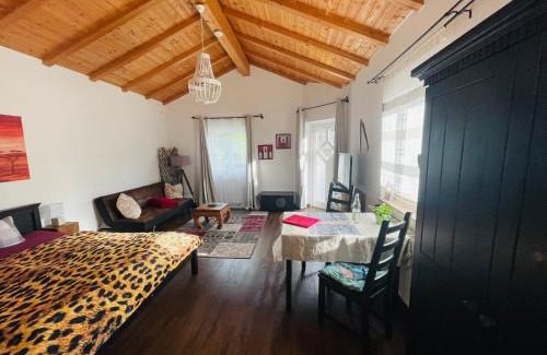 Villingen-Schwenningen Apartment | Domizil kolonial