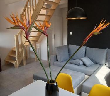 Garcz Ski Chalet | DOMKI - Kaszuby Resort ZACISZE - new cottage