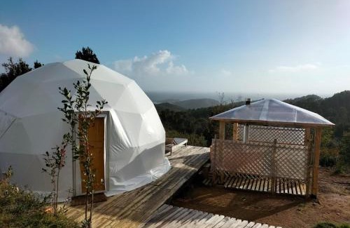 Los Muermos House | Domo con tinaja, Estaquilla