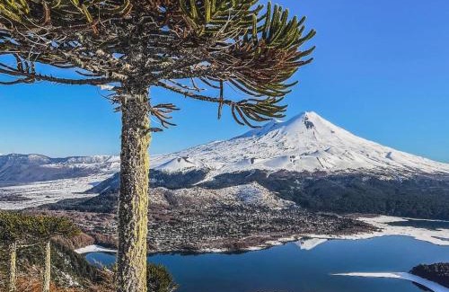 Melipeuco Cabin | Domo conguillío glamping