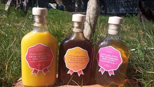 Maldonado Ski Chalet | Don Cleto "La Mimosa"