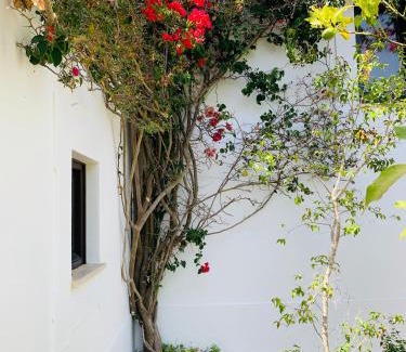Lagos House | Dona Maria 66