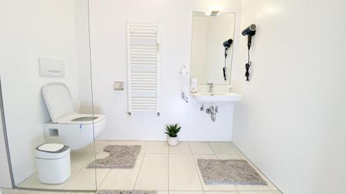 Innere Stadt Apartment | Donau Bliss Linz City Suite