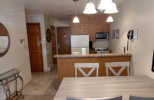 Egg Harbor Condo | DOOR COUNTY GETAWAY @ LANDMARK RESORT - Cozy 1 BR. Wood-view EGG HARBOR