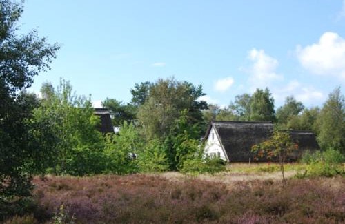 Hiddensee Apartment | Doppelhaushälfte in Vitte auf Hiddensee
