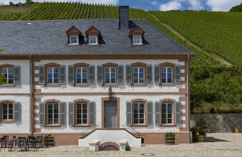 Kanzem Apartment | Doppelzimmer Kupp - Gästehaus-weingut Cantzheim
