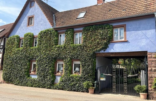 Silz Apartment | Doppelzimmer - Schönbachhof