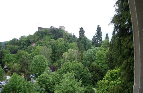 Badenweiler Apartment | Doppelzimmer "waldmooszimmer" mit Dusche/wc