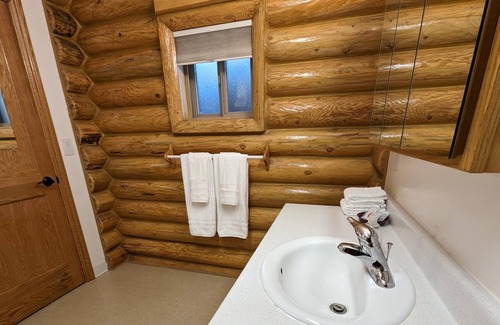 Hot Springs Cabin | Double Bunkbeds in Rustic Cabin - Room 225