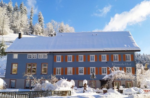 Bad Rippoldsau-Schapbach Apartment | Double room with shower and WC