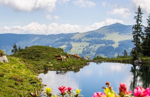 Muhlthal Cottage | Double room comfort - Gasthof Schöntal