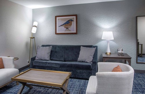 Hot Springs Hotel | DoubleTree by Hilton Hot Springs