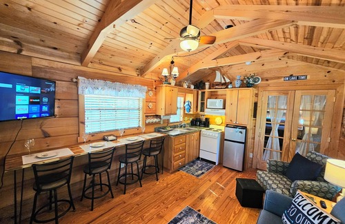 Sevierville Cabin | Douglas Lakeview 1 BR/1 Bath Log Cabin w/Lake Access & Launch, Near Smoky Mtns.