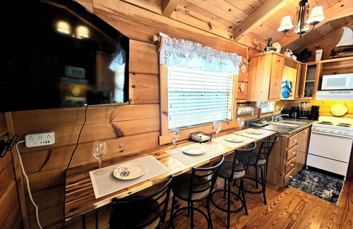 Sevierville Cabin | Douglas Lakeview 1 BR/1 Bath Log Cabin w/Lake Access & Launch, Near Smoky Mtns.