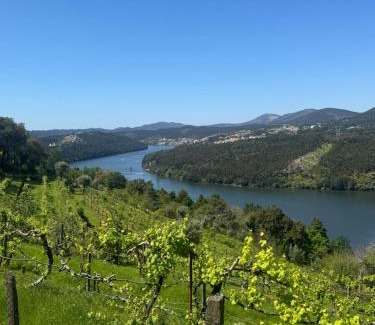 Castelo de Paiva House | Douro House 222